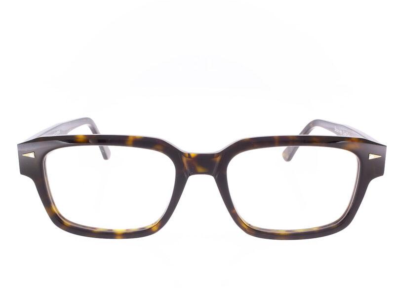 Ahlem Beaux Arts dark turtle